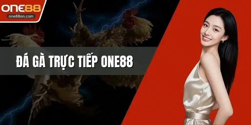 Đá Gà Trực Tiếp ONE88 - Trải Nghiệm Cược Chọi Đỉnh Cao 