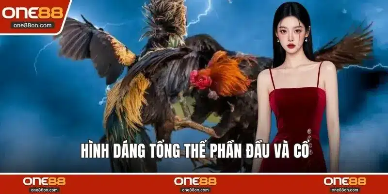 Hình dáng tổng thể phần đầu và cổ